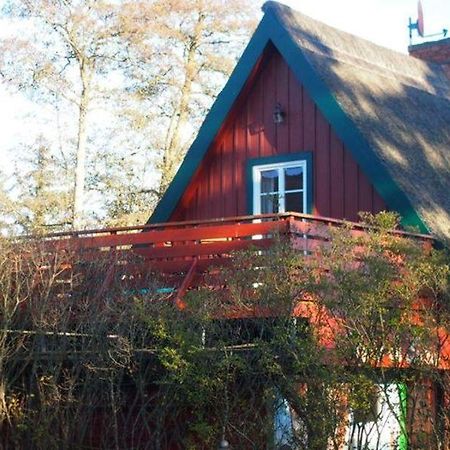 Reetdach - Promenadenblick - 500m zum Strand Prerow Exterior foto